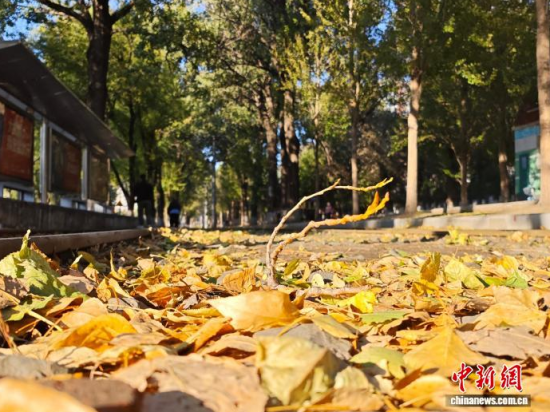 �S��54·��܉�܇�ؾ��h(hu��n)���������Σ���߅�L(f��ng)ò�����������S���~䁝M·�������� ���z