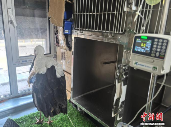 �܂��Ė|�����X���ڽ���ݔҺ�ί�����ʯ���� �z