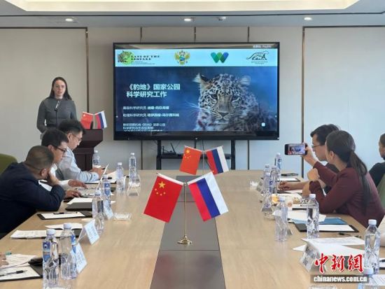 ���_˹���ҷ������o�|������(j��ng)��������� �z