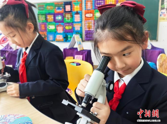 �W(xu��)��ͨ�^�@΢�R�^���G�~��(x��)������ʯ���� �z